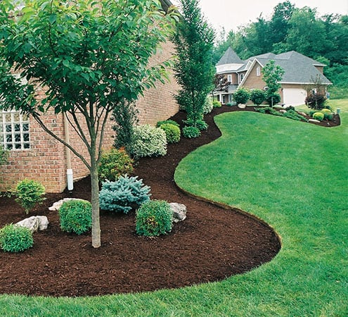 landscaping landscaping