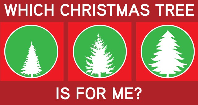 which-christmas-tree-is-for-me