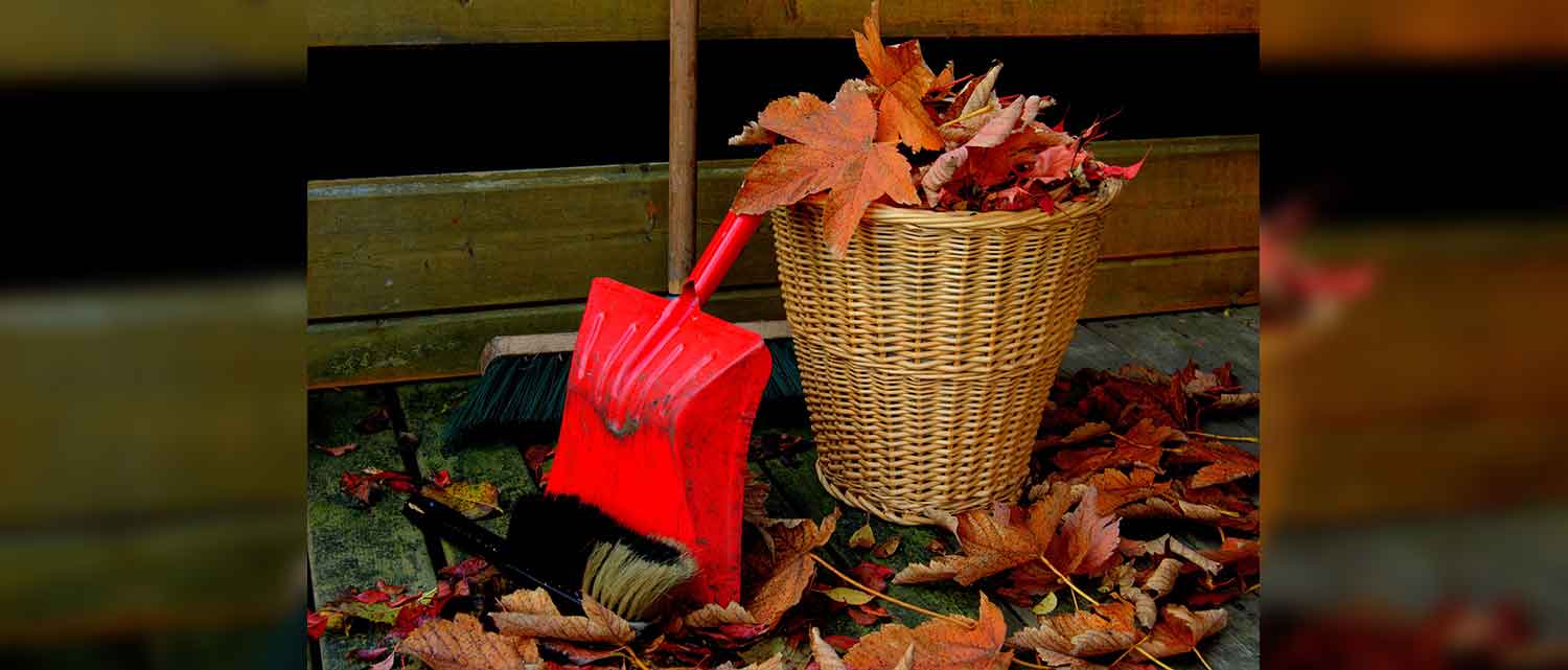 5-simple-fall-landscaping-ideas-for-the-front-yard-toemar-landscaping