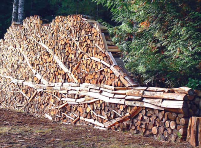 stacking-firewood-toemar-meta-tree