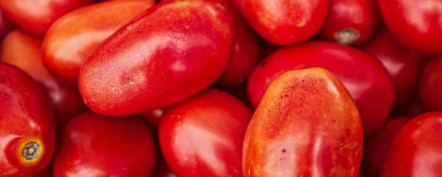 canning-tomatoes