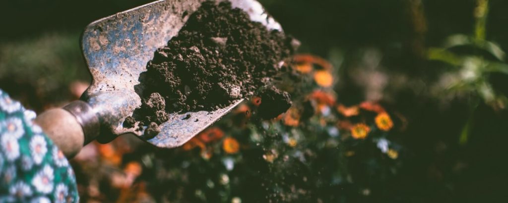 best-soil-for-gardening-needs