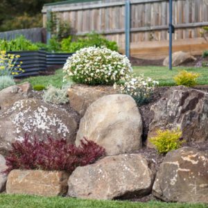 category-rocks-and-boulders-toemar-landscape-supplies