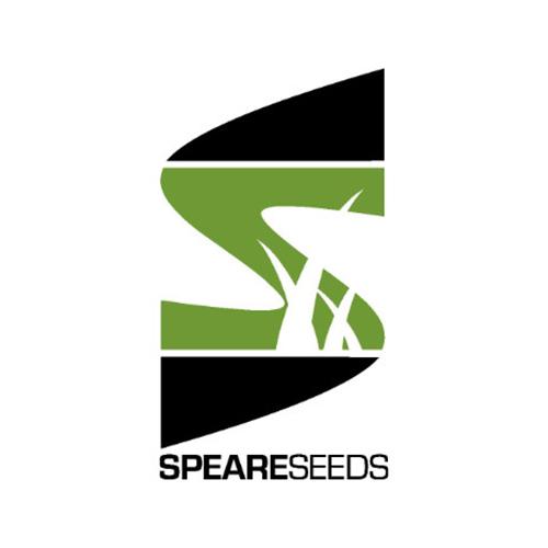 Speare Seeds